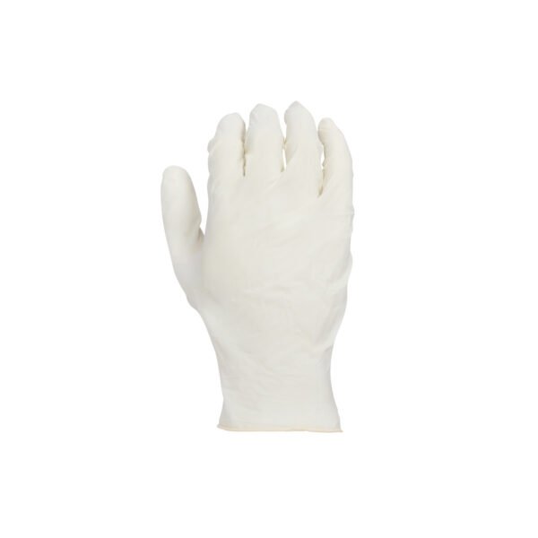 SCI, Non Sterile Latex Examination Gloves, Powdered - Image 5