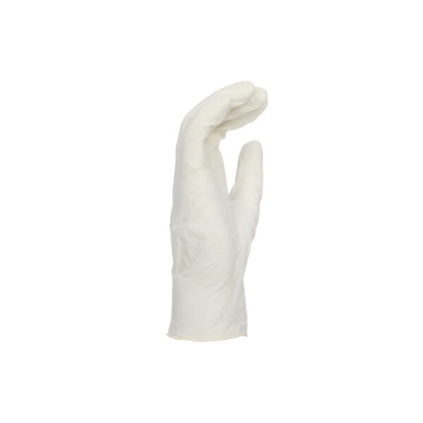 SCI, Non Sterile Latex Examination Gloves, Powdered - Image 7