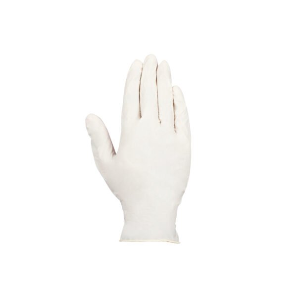 SCI, Non Sterile Latex Examination Gloves, Powdered - Image 3