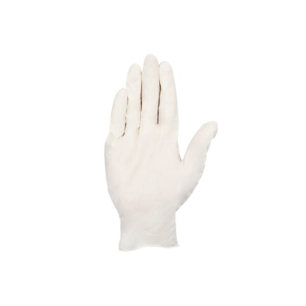 SCI, Non Sterile Latex Examination Gloves, Powdered - Image 6