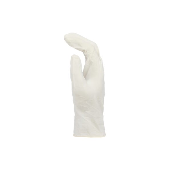 SCI, Non Sterile Latex Examination Gloves, Powdered - Image 2