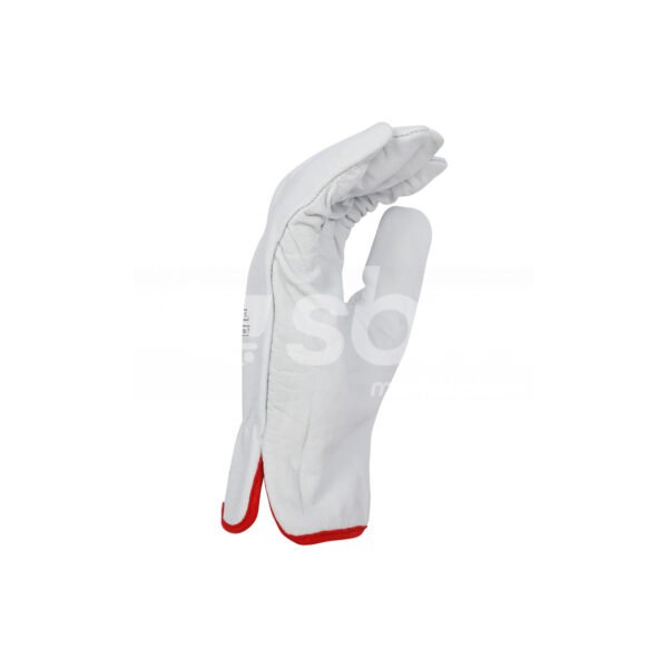 Short Driving Gloves - Image 4