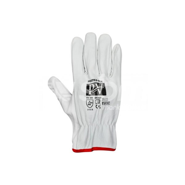 Short Driving Gloves - Image 6